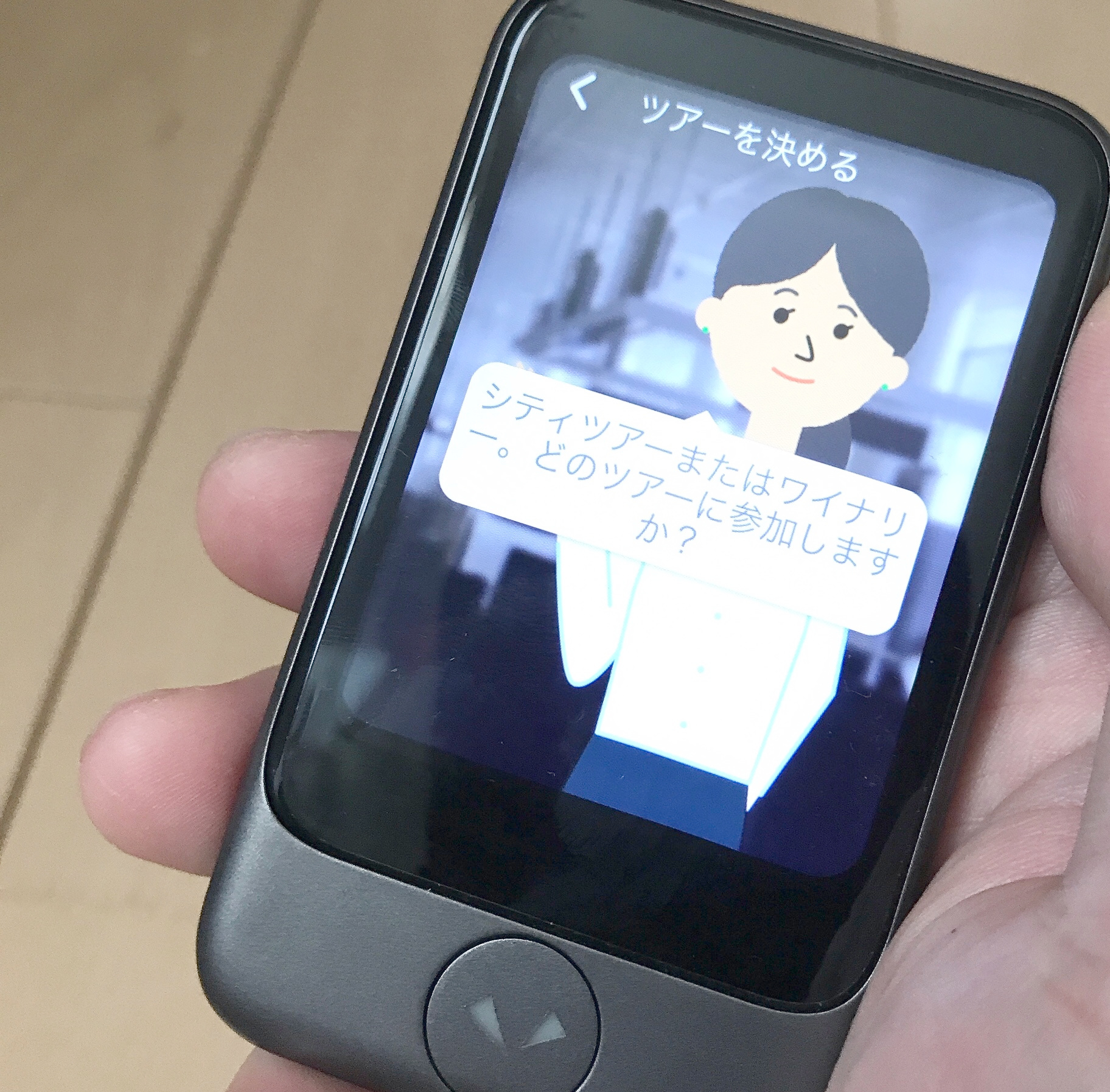 ツアーガイド(日本語)