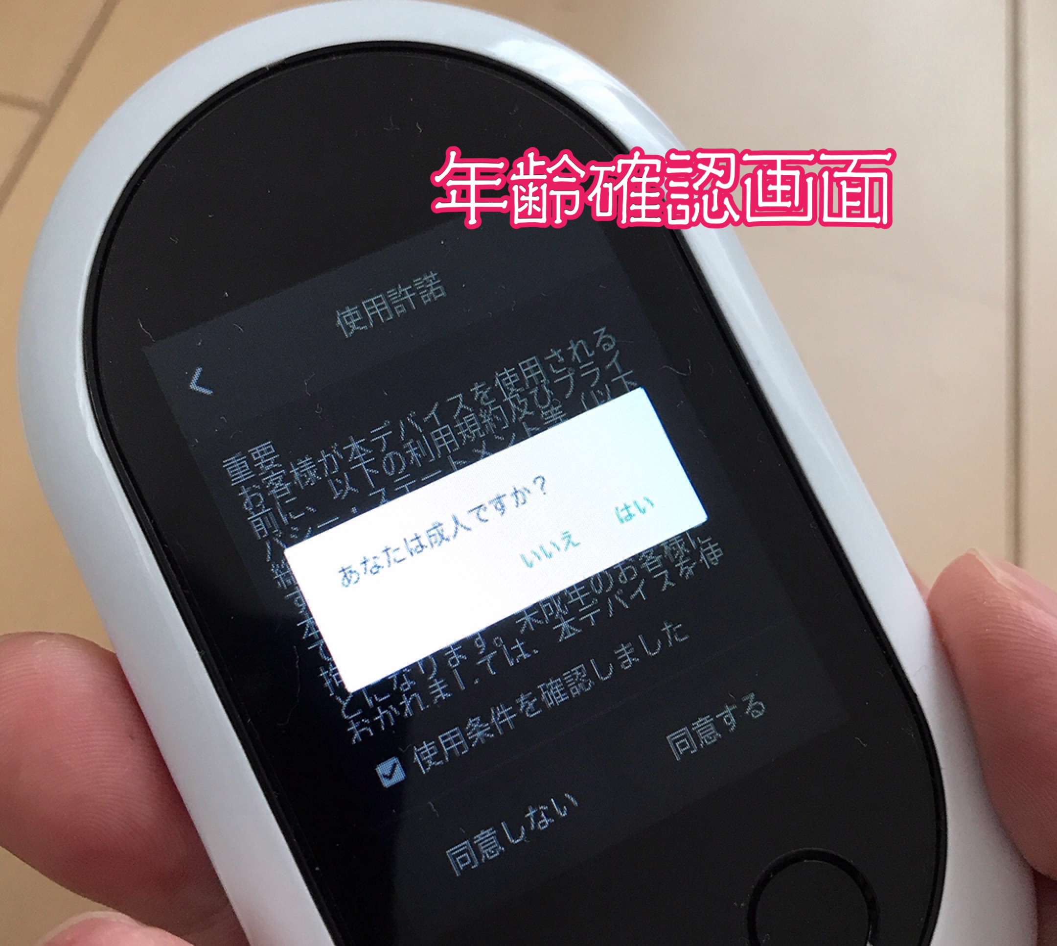 ポケトークW年齢確認画面