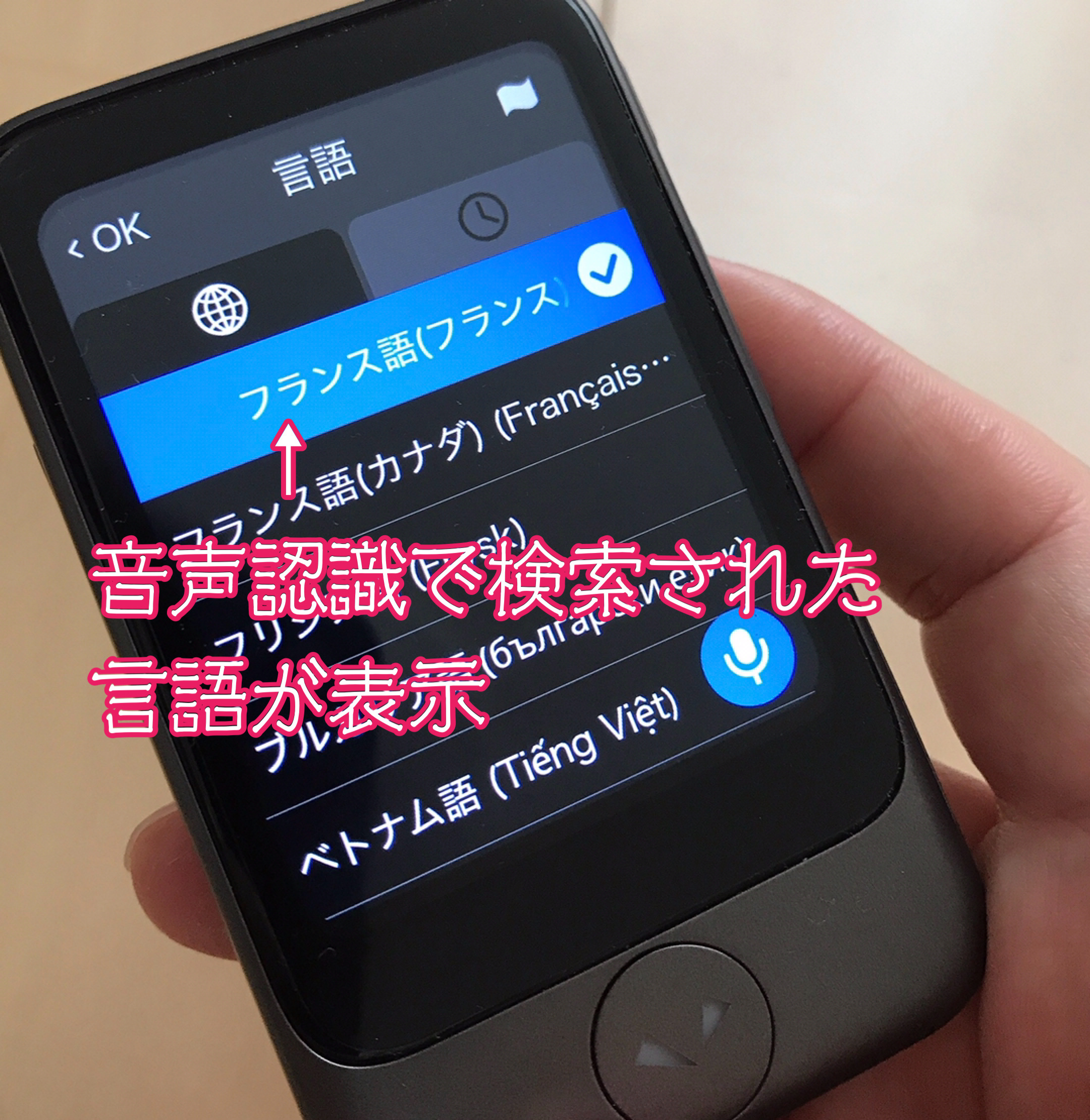 ポケトークS言語音声検索結果画面